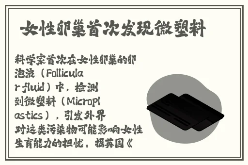 怡红院在线 视频免费
